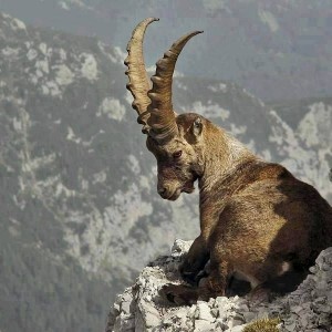 δεν ειδα εγω καμια φορα,να ρθει στο τοπο απου μαι η μοναξια ακαλεστη ,γι αυτο δεν την φοβουμε